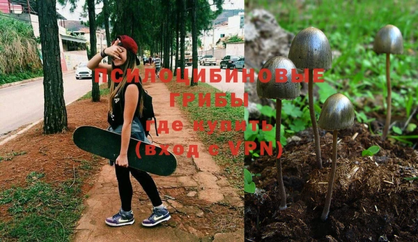 стафф Аркадак
