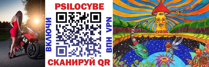Псилоцибиновые грибы прущие грибы  omg как зайти  Кологрив 